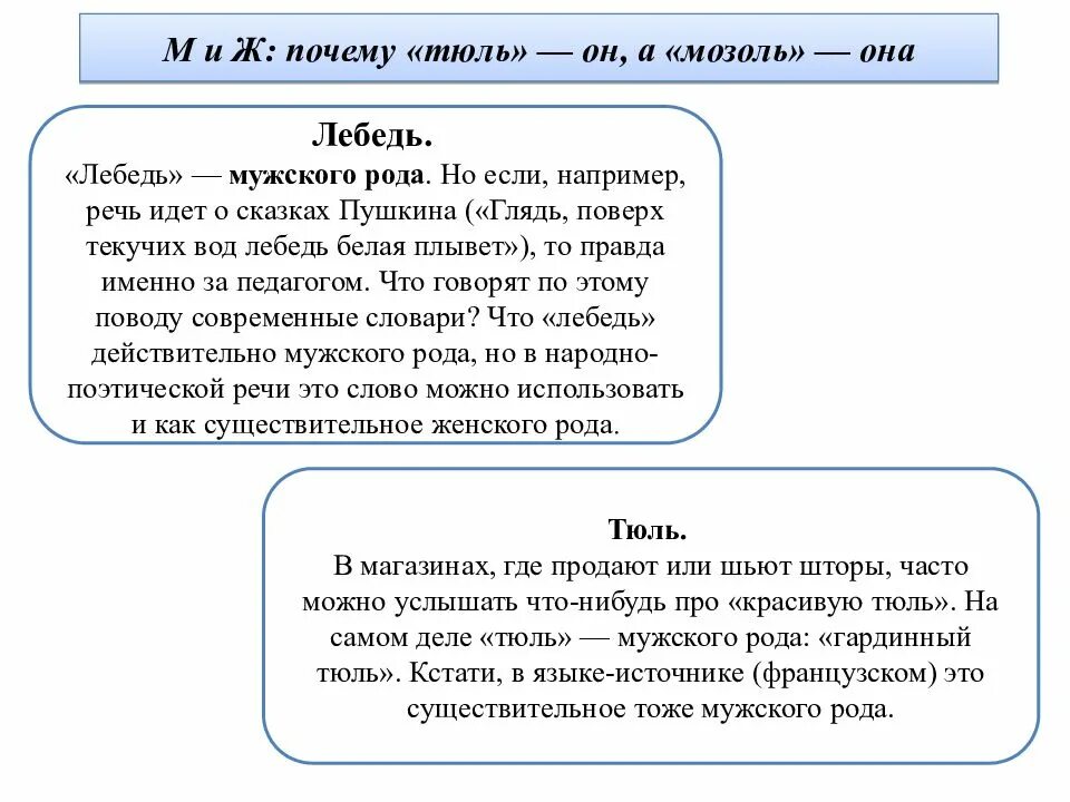 Лебедь какой род. Лебедь какого рода в русском. Лебедь род существительного. Какого рода слово лебедь. Род слова причинам