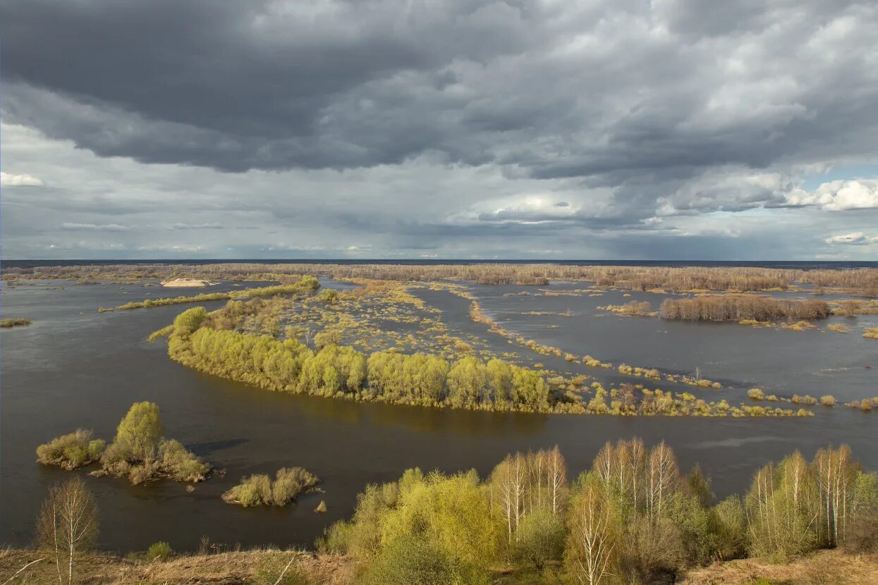 Подъем воды в клязьме. Вязники венец разлив. Разлив Клязьмы в Вязниках. Разлив реки Клязьма в Вязниках. Клязьма Вязники венец разлив 2023.