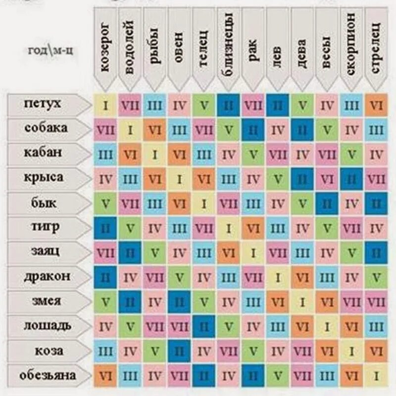 Лошадь собака совместимость мужчина. Структурный гороскоп. Таблица гороскопа. Знаки зодиака совместимость по годам. Совместимость крысы.
