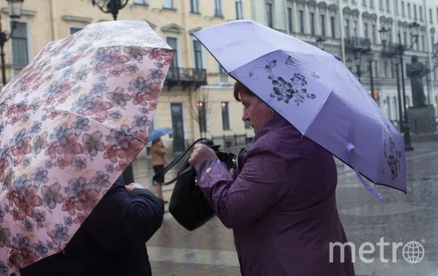 Питер холод. Самый холодный год в петербурге. Санкт-петербург дождь. Метель в городе. Почему холодно на улице.