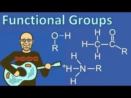 The 8 function