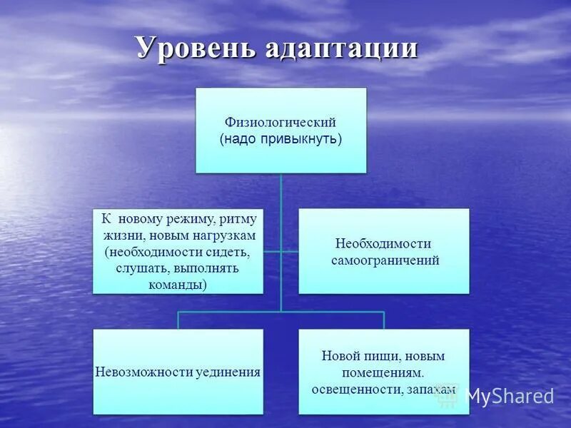 Три уровня адаптации. Уровни адаптации. адаптация степени адаптации. уровни адаптированности.