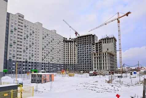 Жк смородина