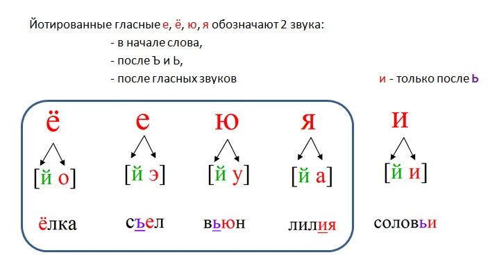 В каких случаях е дает два звука. Гласные буквы обозначающие 2 звука. гласные буквы обозначающие два звука 1 класс. гласная буква е обозначает 2 звука схема. гласные обозначающие 2 звука 1 класс задания.