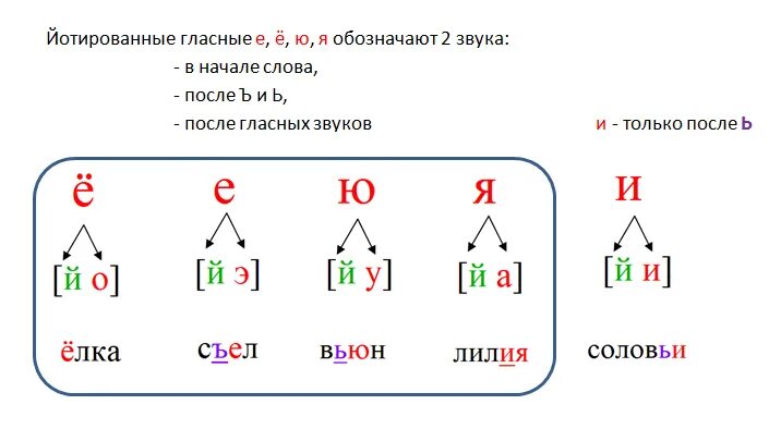 Гласные буквы обозначающие 2 звука. Гласные обозначают 2 звука схема. Гласные обозначающие 2 звука 1 класс. Гласные второго ряда обозначают 2 звука. Правила обозначающие 2 звука