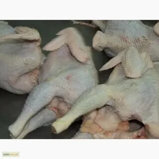 Несушки тушка