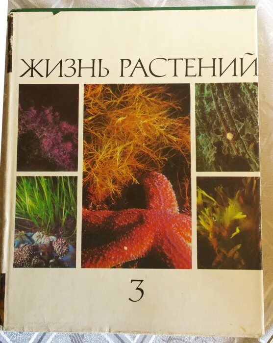 Жизнь растений том 3. Жизнь растений водоросли. Лишайники том 3. Энциклопедия жизнь растений. Жизнь растений 6 томов. Жизнь растений в 6 томах.