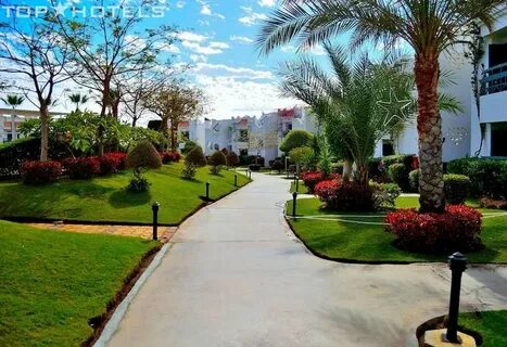 Naama bay sharm el sheikh