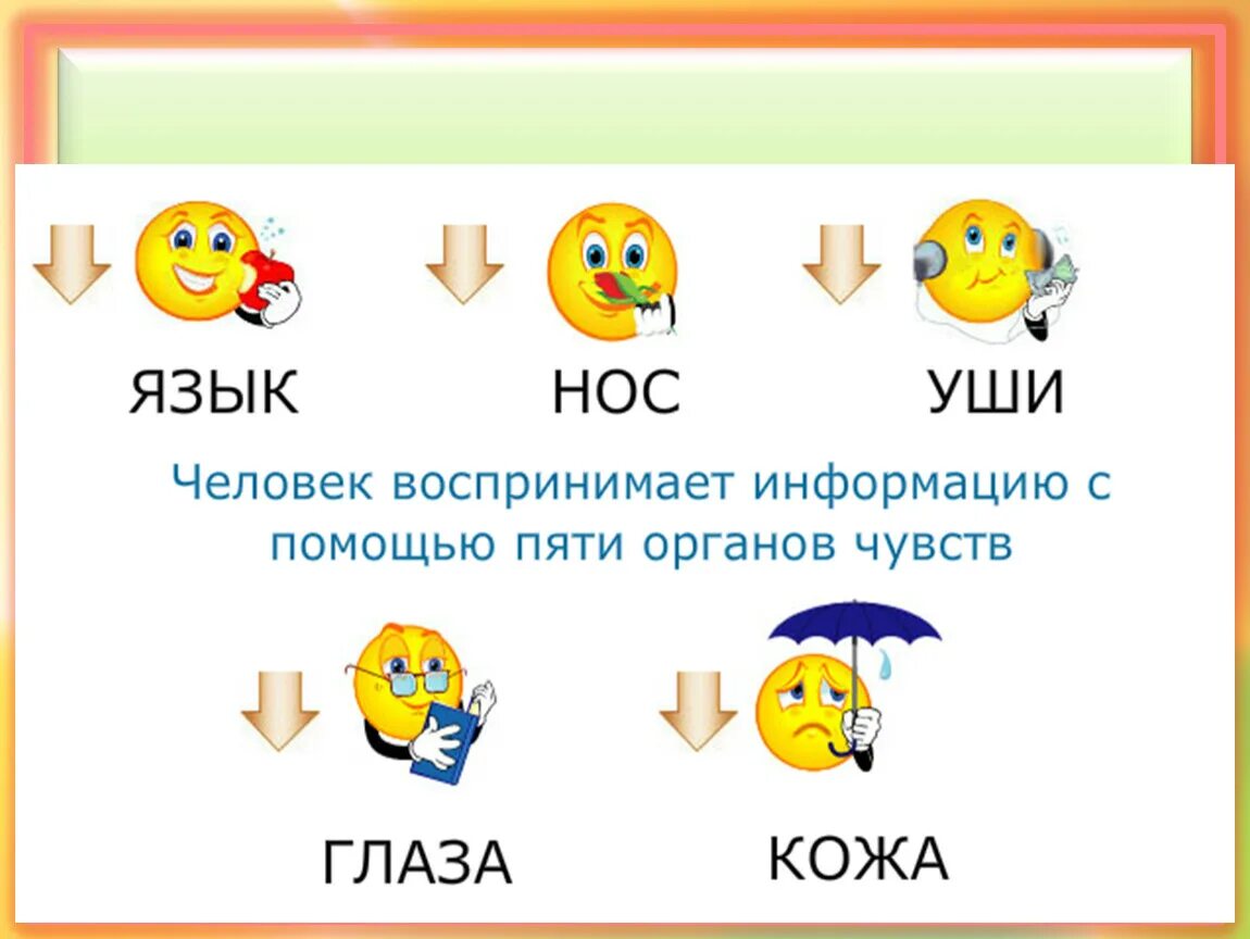 Органы чувств. Что бывает 5. Органы чувств человека и воспринимаемая информация. Чувства символ.