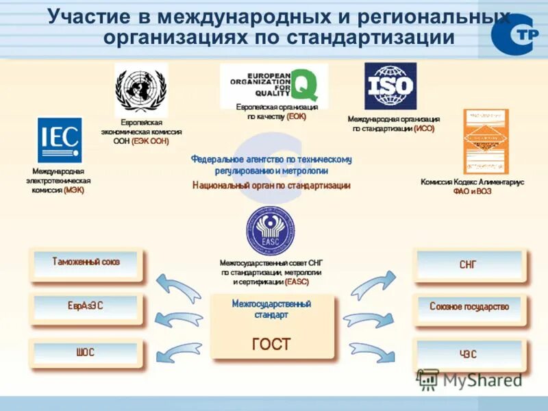 дивизионально-региональная структура управления. региональные предприятия примеры. формы организации службы маркетинга. международная организация законодательной метрологии функции.