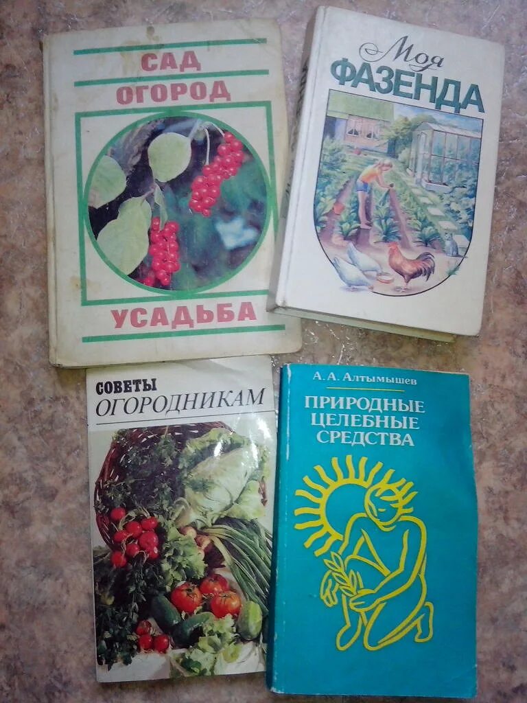 Книга строительство дачного дома. Книги про дачи. Книги о дачных постройках. Книги про дачи. Приусадебное хозяйство картинки.