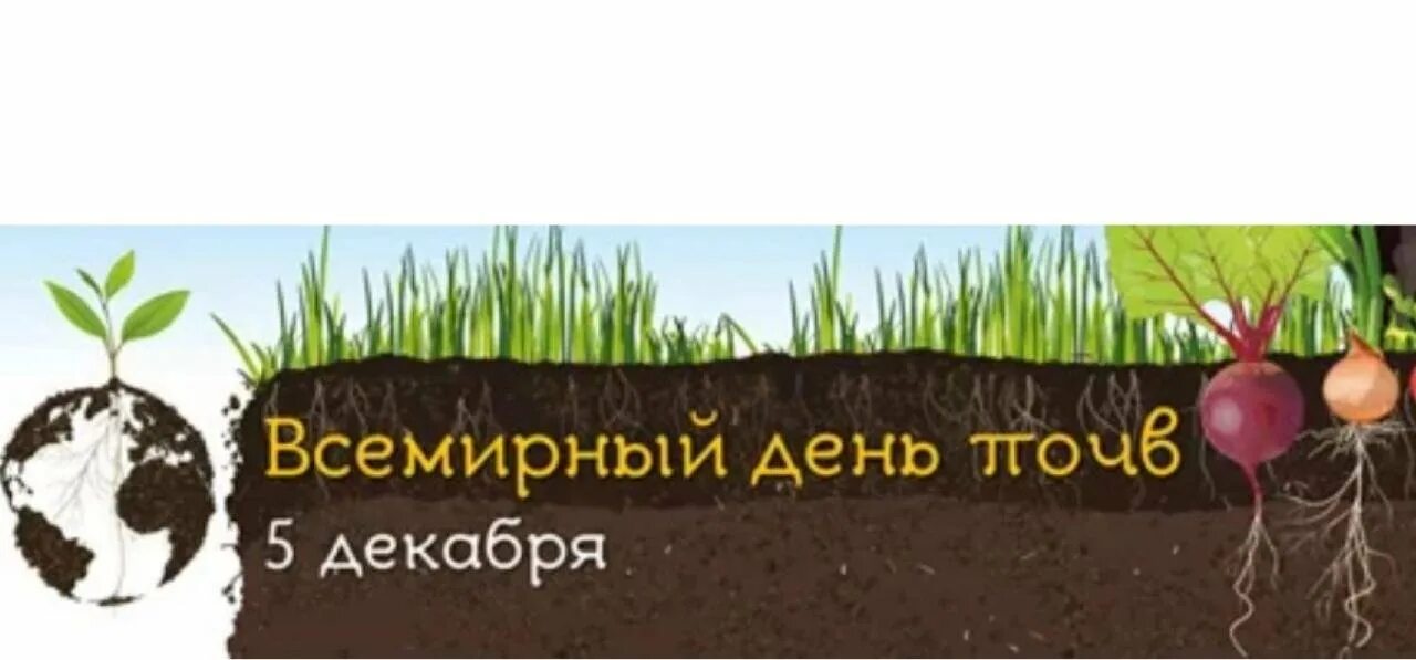 5 декабря международный день почв. День почв. День экологии. Интересные факты о всемирном дне почв ,. Экологические дни день почв.
