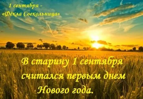 25 июня 2023 год