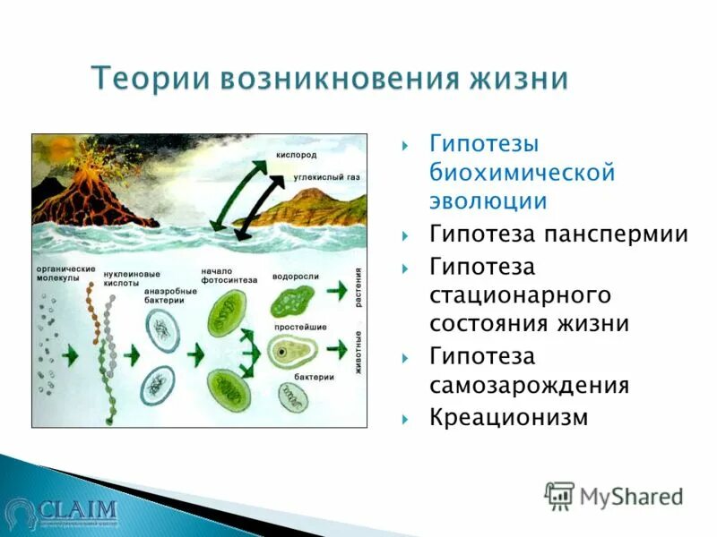 Гипотеза биохимической эволюции опарина. Теория биохимической эволюции. Гипотеза биохимической эволюции. Гипотеза биохимической эволюции доказательства. Гипотеза биохимической эволюции таблица.