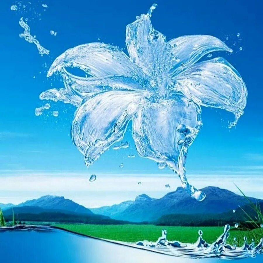 Цветы в брызгах воды. Цветок из воды. Цветы на фоне воды. Вода в виде цветка.