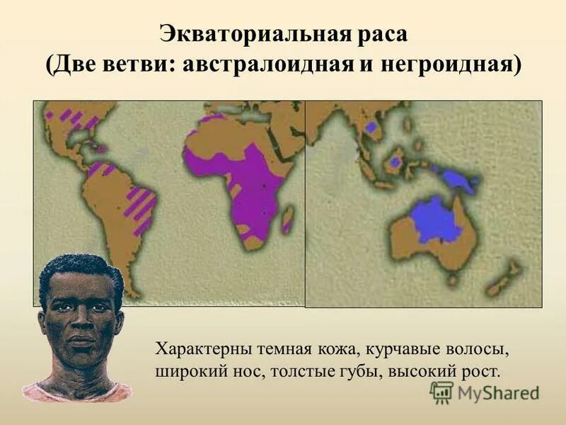 Границы ареалов. Этнический состав населения мира карта. Монголоидная раса карта расселения. Ареалы распространения рас. Расы людей на карте.