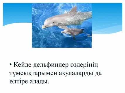 Орыс тіліне аударылған секс-мультфильмдер