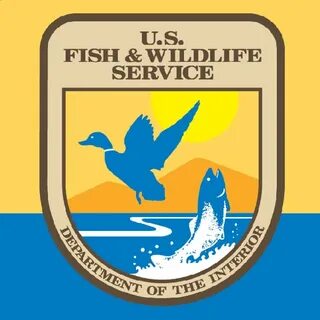 Wildlife services