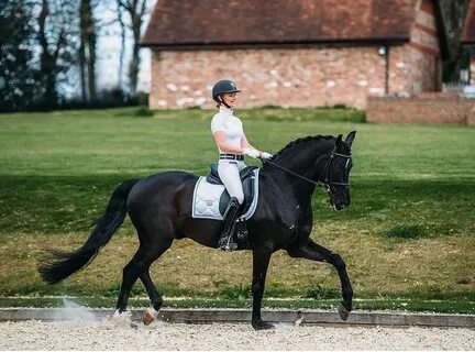 Equestrian перевод