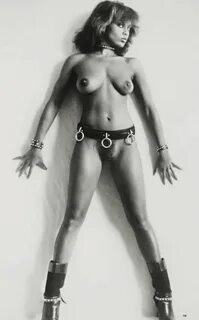 Ванесса Уильямс 1984 Penthouse nude.