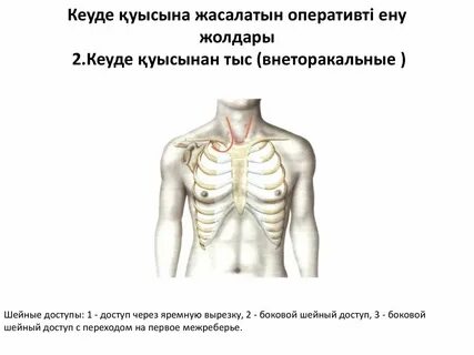 Үйлену тойындағы орысша мобильді порно
