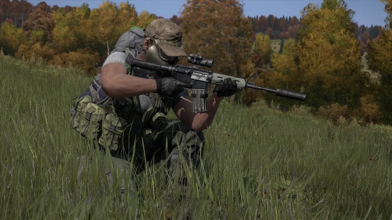 Dayz standalone. Dayz. dayz standalone оружие. дейзи standalone.