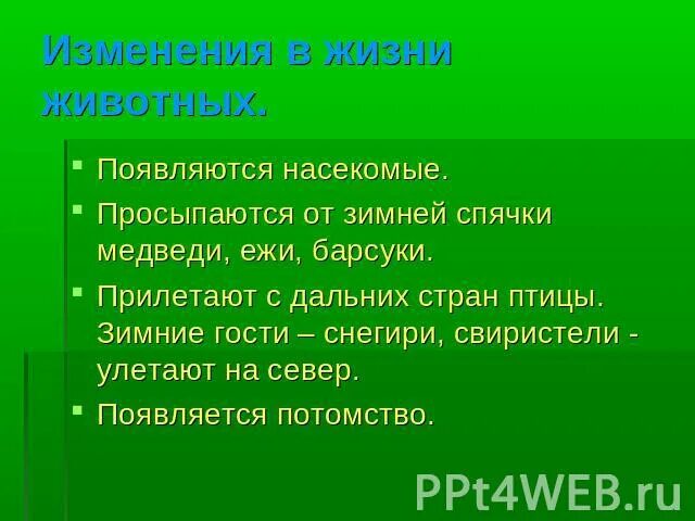 Сезонные изменения в жизни организмов слушать. Изменения в жизни животных. Сезонные изменения в жизни животных презентация. Сезонные изменения в жизни обитателей. Сезонные явления в жизни животных весной.