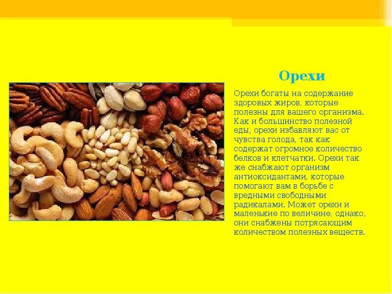 Орехи это белки или жиры. Жиры в орехах. Орехи богаты. Содержание жира в орехах. Содержание жиров в орехах.