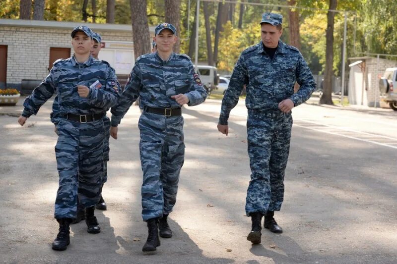 Ворошиловка рязань институт. Ворошиловка рязань институт. Ворошиловка рязань институт. Рязанский филиал кикотя. Ворошиловка рязань институт.