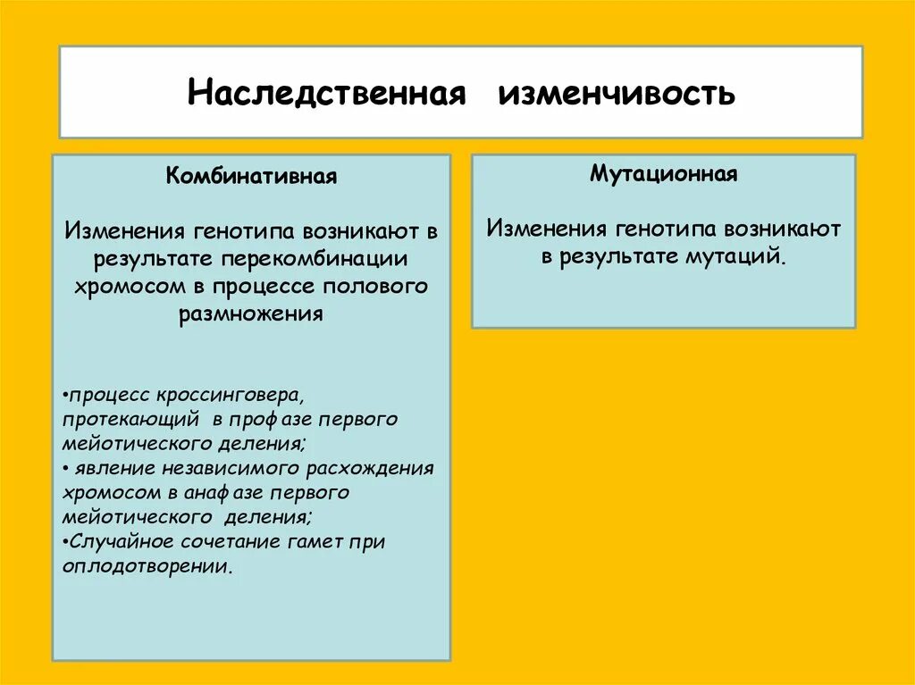 Наследственная комбинативная и мутационная