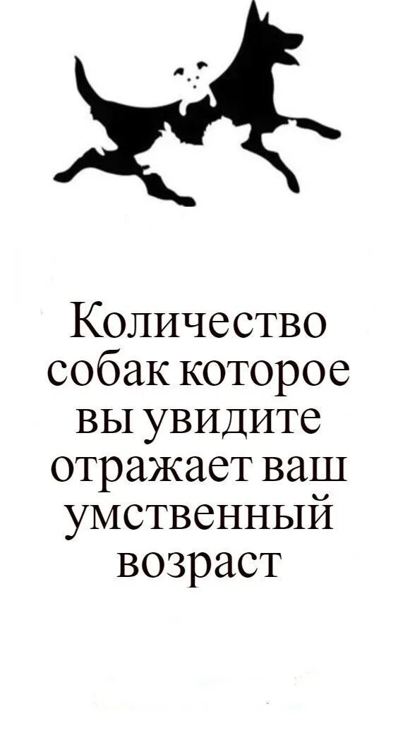 Сколько собак видишь. Количество собак которое вы увидите отражает ваш умственный Возраст. Количество собак которое вы увидите отражает. Сколько собак на картинке тест. Сколько собак и Возраст умственный.