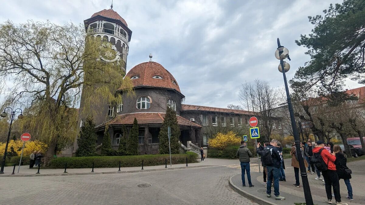 Кто-то съел описание, может даже кот.
