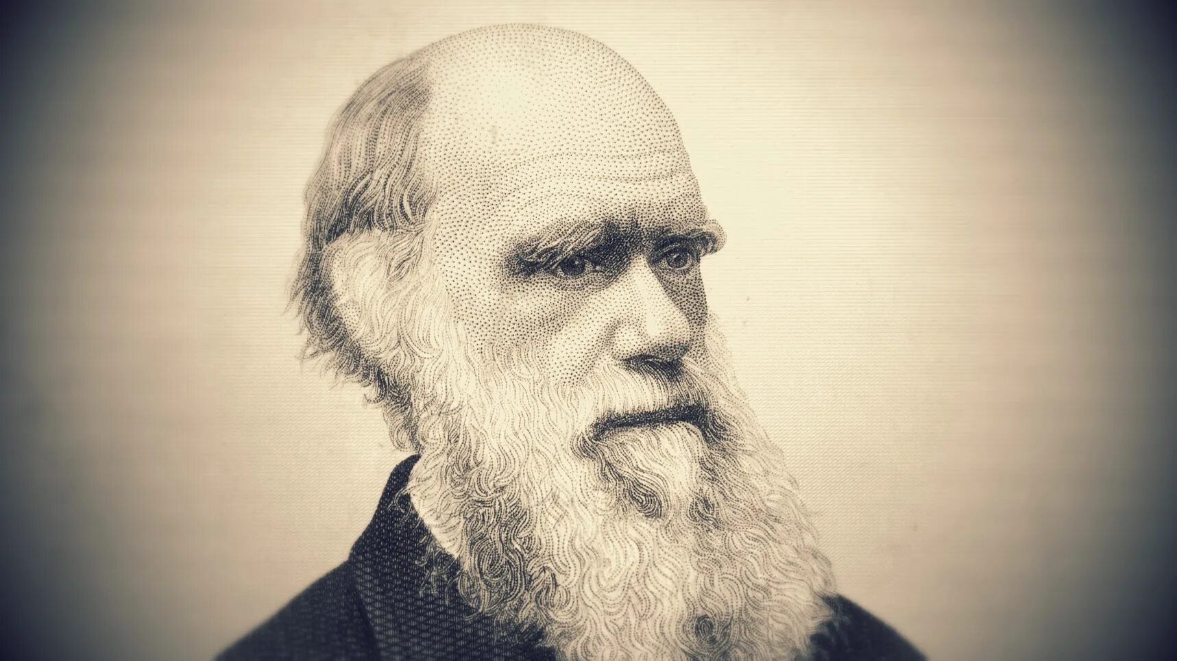 Дарвин это