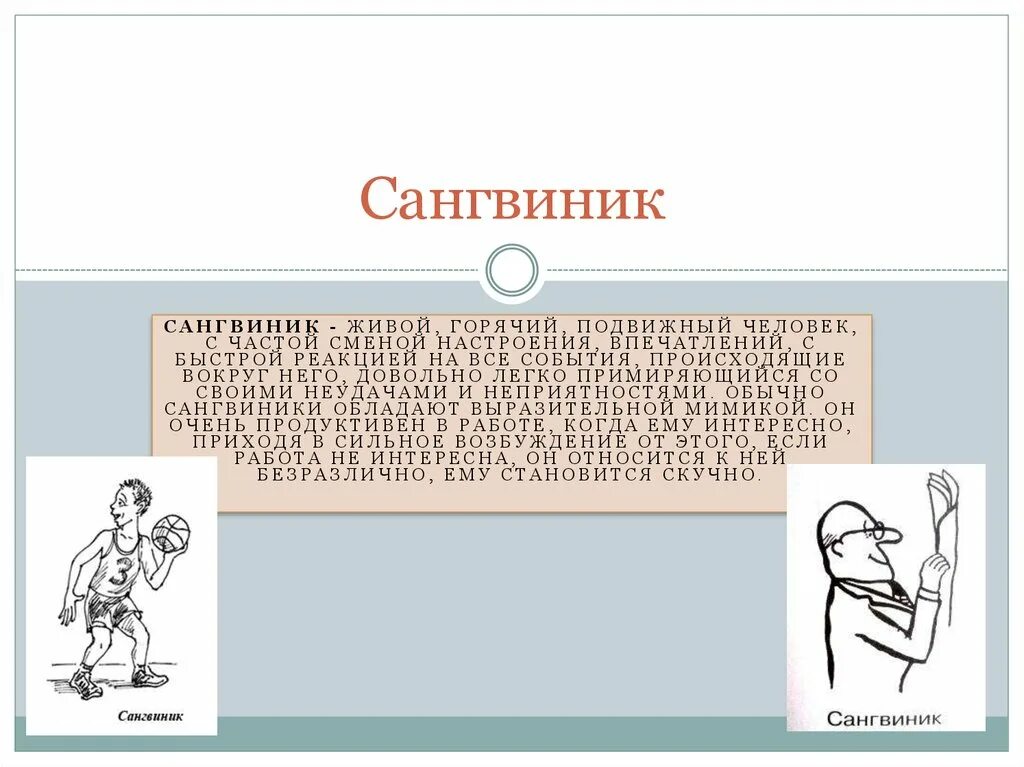 Сангвини. Сангвиник в работе. Способности сангвиника. Сангвиник пример. Поведение сангвиника.