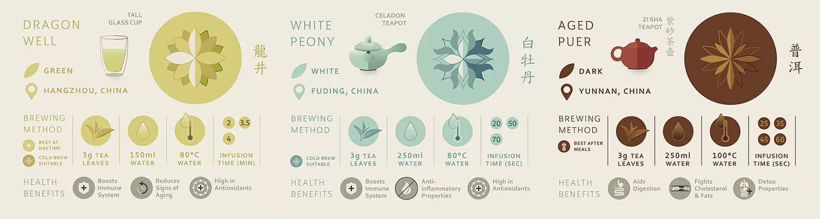 Инфографика заваривания чая. Инфографика чай. Инфографика заварка чая. Инфографика китайского чая пуэр.