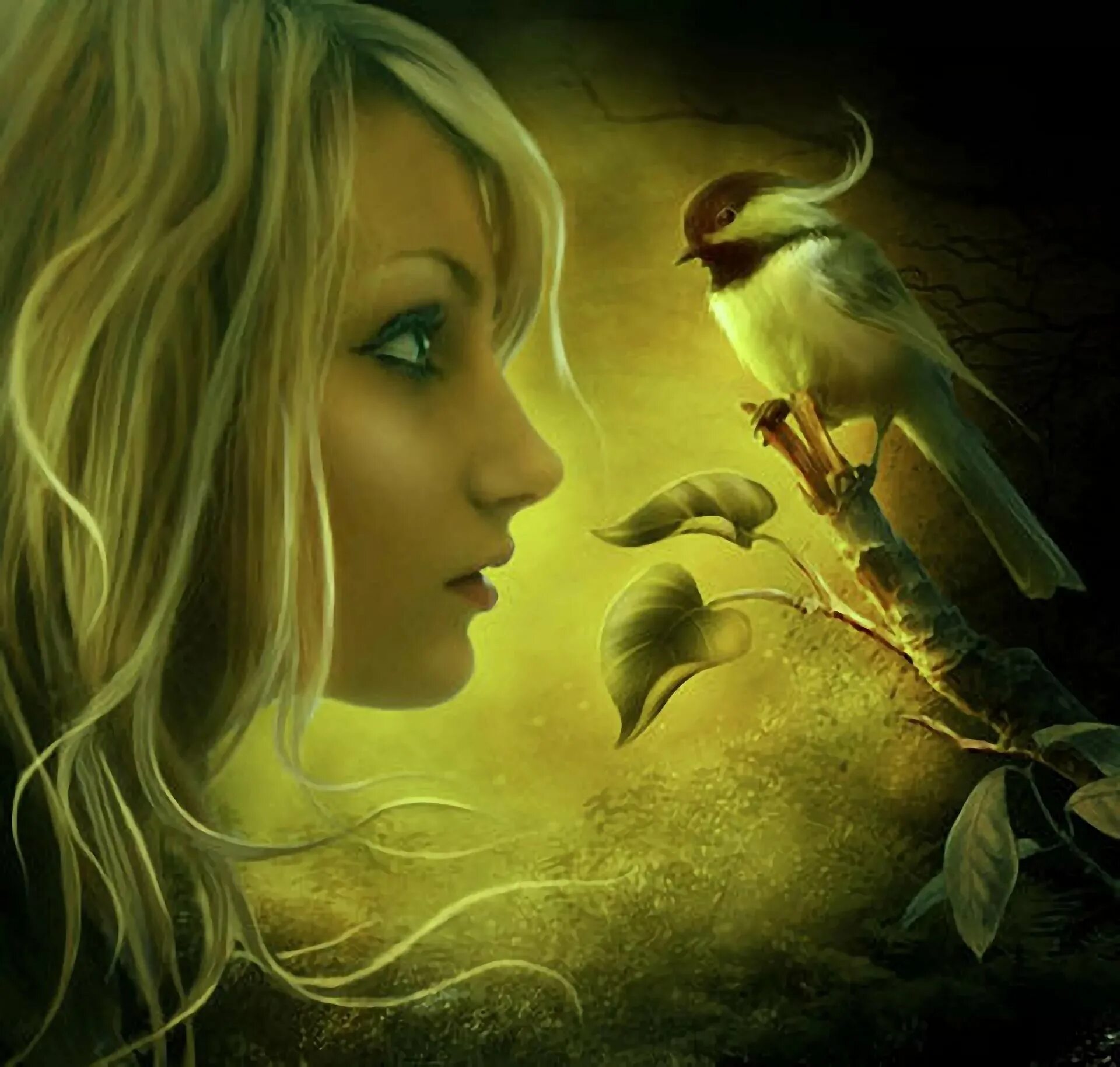 Девушка с птичкой. Фантастические птицы. Про девочку птица. Про девочку птица. Девушка с голубем.