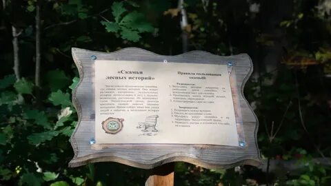 Расписание сиверская лесничество сегодня