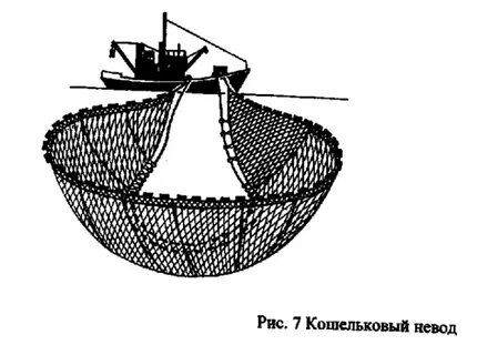 Сеть подобно