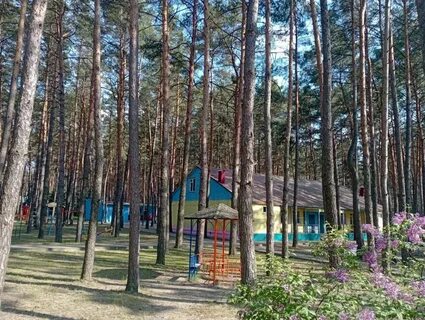 Лагерь орленок курск отзывы