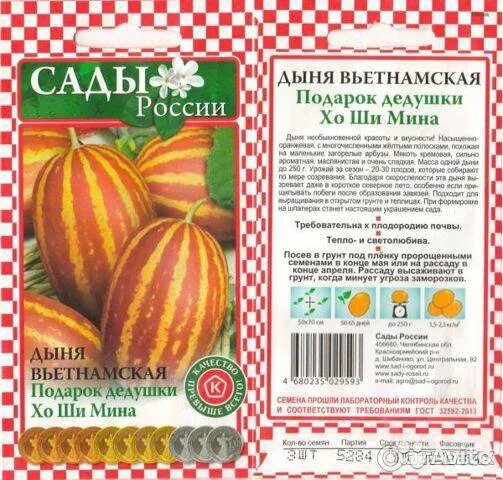 Дыня вьетнамская подарок дедушки хошимина. Дыня вьетнамская подарок дедушки хошимина. Подарок дедушки хо ши мина. Вьетнамская ананасовая дыня. Дыня хошимина.