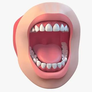 Mouth 3