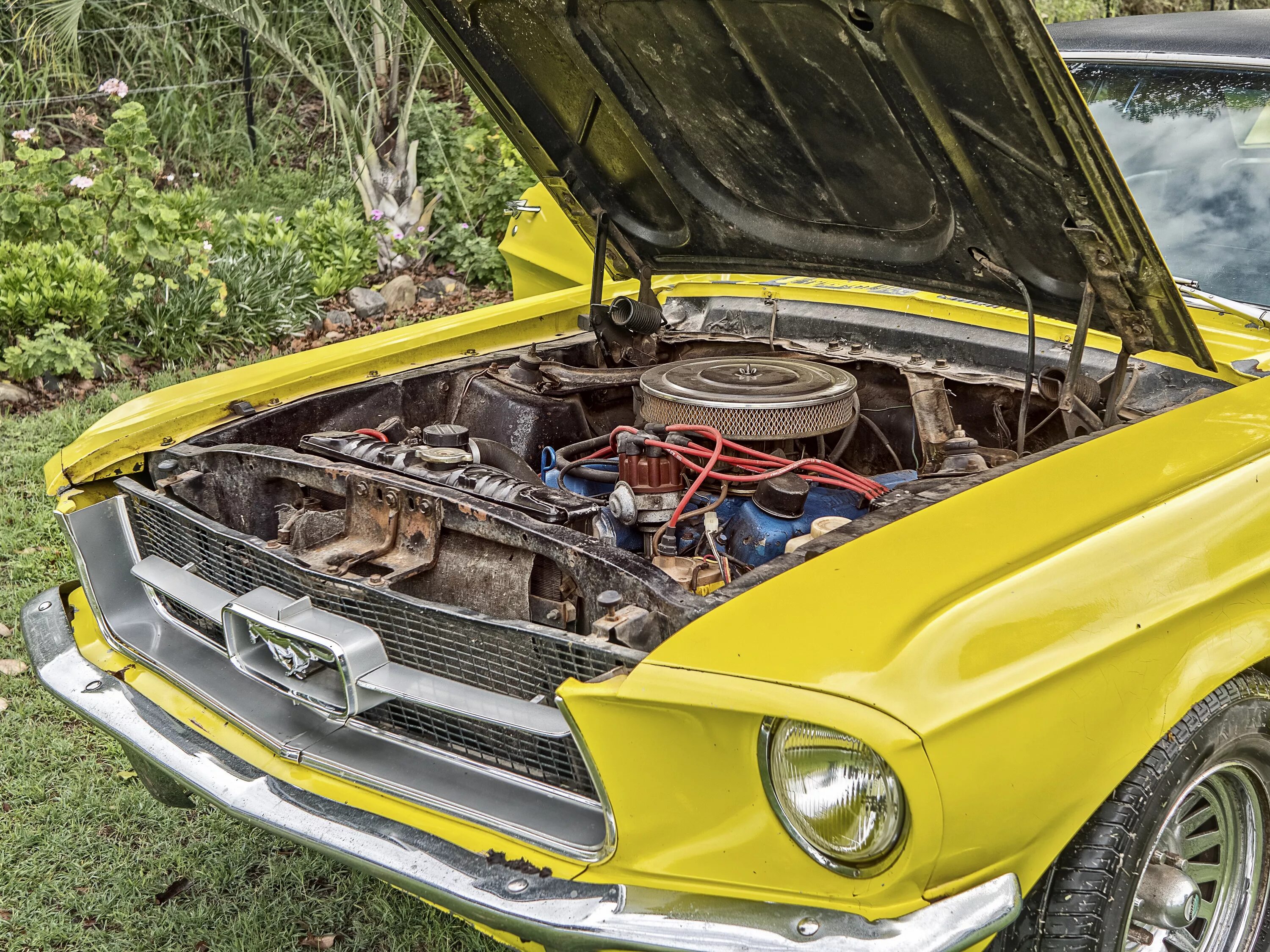 Открыть капот автомобиля. Форд Мустанг под капотом. Ford Mustang 73 открытый капот. Форд Мустанг с открытым капотом. Ford Mustang 1969 открытый капот.