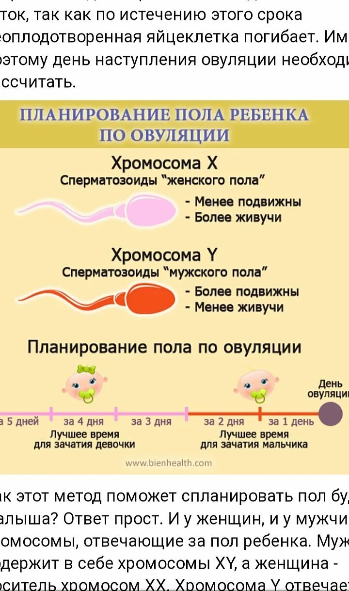 Овуляция зачатие признаки. Зачатие ребёнка по овуляции. Планировать пол ребенка по овуляции. Зачатие по овуляции пол. Планирование пола ребёнка по овуляции.