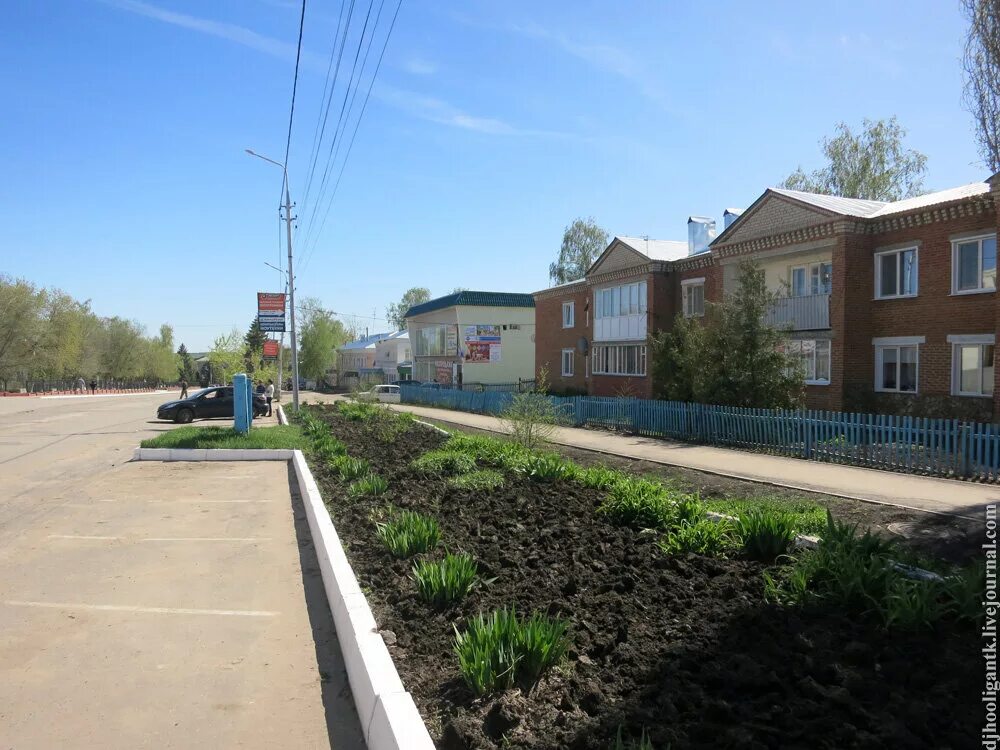 Погода базарный. В Базарном Карабулаке поселок. Базарный Карабулак Саратов.