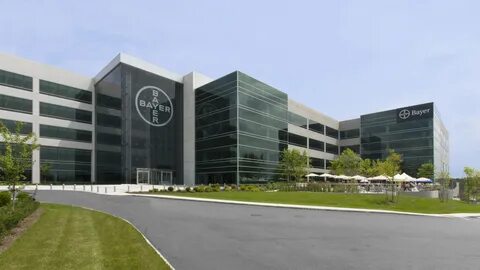 Rx bayer