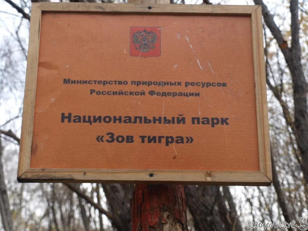 Тигр где охраняется заповедник или национальный парк. Национальный парк зов тигра приморский край. национальный парк зов тигра презентация. зов тигра национальный парк на карте.