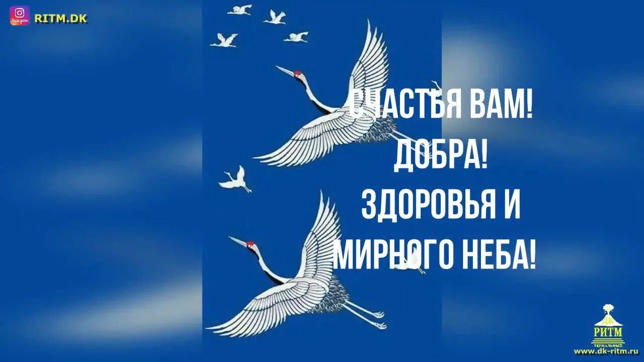 Всероссийская акция белые журавли. Белые журавли памяти. акция белые журавли памяти. журавли нашей памяти. акция журавли памяти.