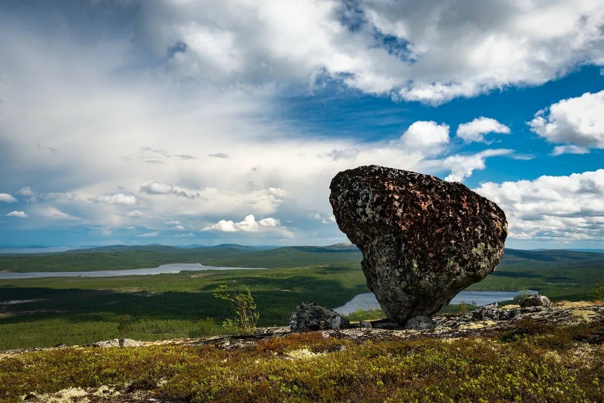 Ковдор цветы. Сейды Кольского полуострова. Сейд Кольский полуостров. Лапландский заповедник сейды. Камни сейды на Кольском полуострове.