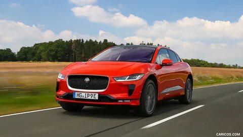 Jaguars 1