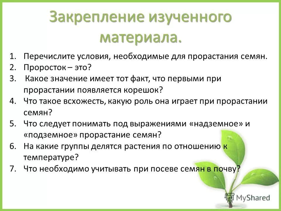 Влияние какого условия развития проростков. Проросток это в биологии. Перечислите условия необходимые для прорастания семян. Проросток это в биологии 6 класс. Что такое проросток в биологии кратко.